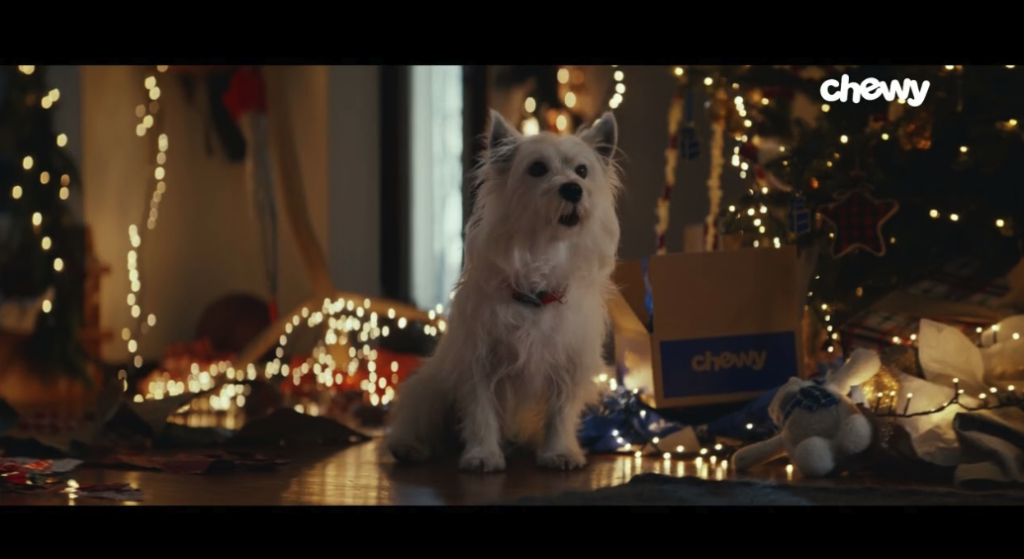 Chewy holiday campaign